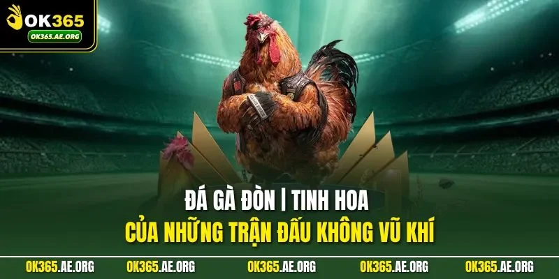 Đá gà đòn nằm ở sự kết hợp giữa nguồn gen tốt