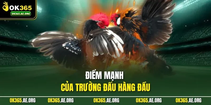 Điểm mạnh của trường đấu hàng đầu