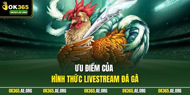 Đá Gà Đòn | Tinh Hoa Của Những Trận Đấu Không Vũ Khí 2 Ưu điểm của hình thức livestream đá gà
