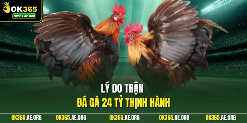 Lý do trận đá gà 24 tỷ thịnh hành 